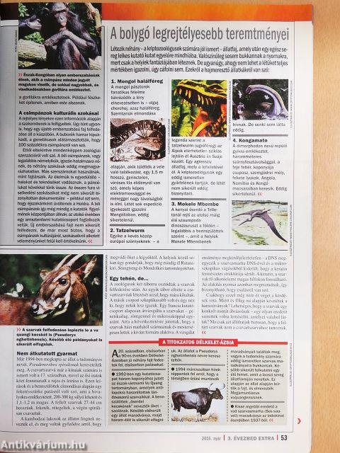3. Évezred Extra 2016. nyár