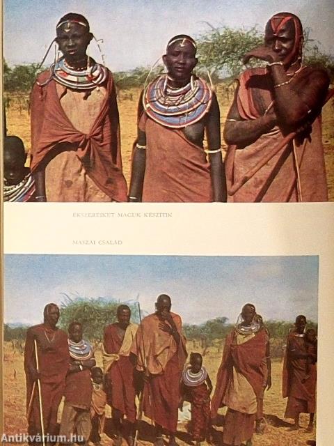 Denaturált Afrika