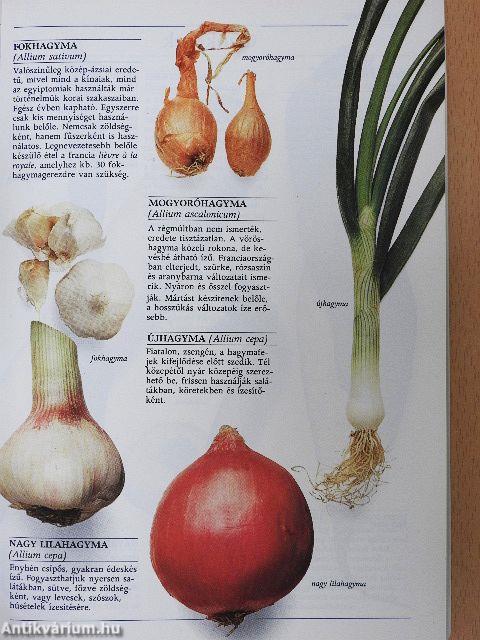 A főzés alapanyagai