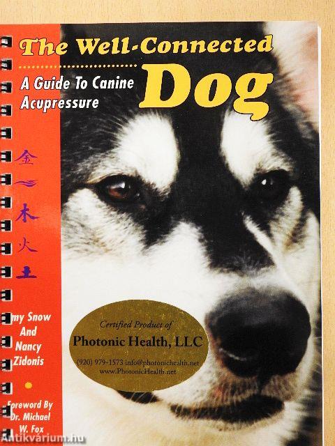 The Well-Connected Dog