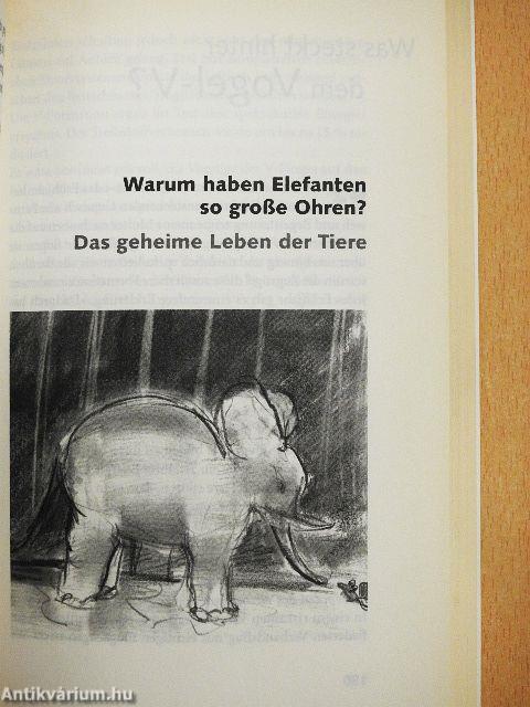 Sonst noch Fragen?