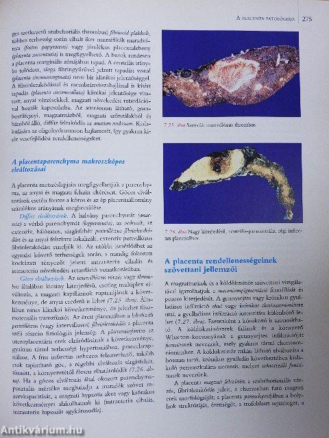 Patológia 1-2.