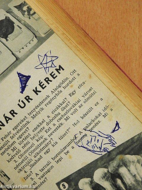 Füles 1964. január-december I-II.