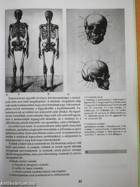 Látás és ábrázolás