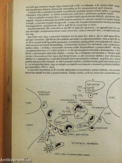 Klinikai immunológia II.