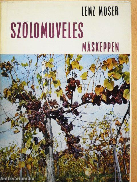Szőlőművelés - másképpen