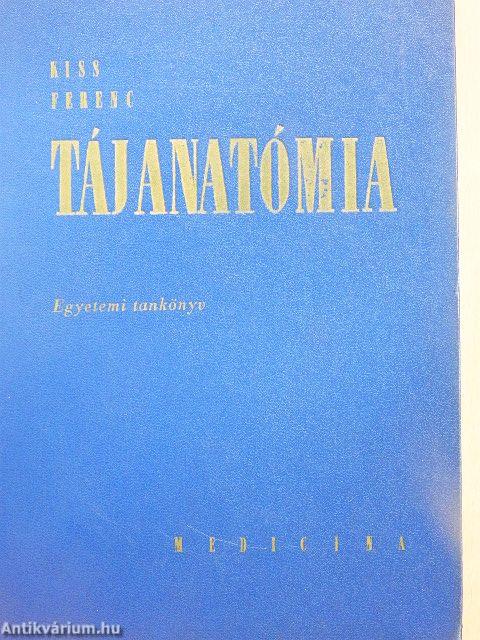 Tájanatómia