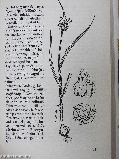 Fűszerek könyve