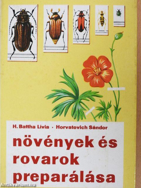 Növények és rovarok preparálása