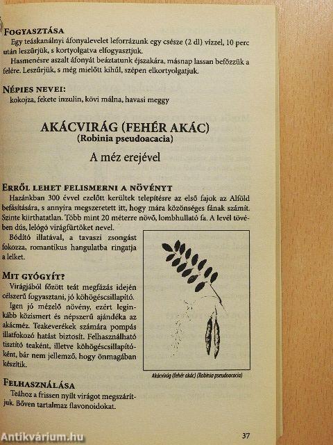 A gyógyító természet