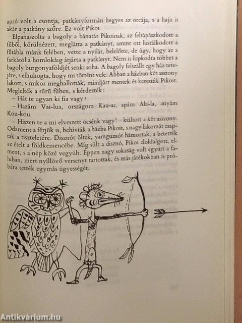 A bőbeszédű teknősbéka