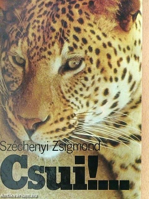 Csui!...