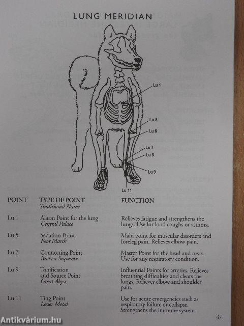 The Well-Connected Dog