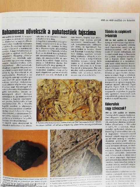 A Föld krónikája