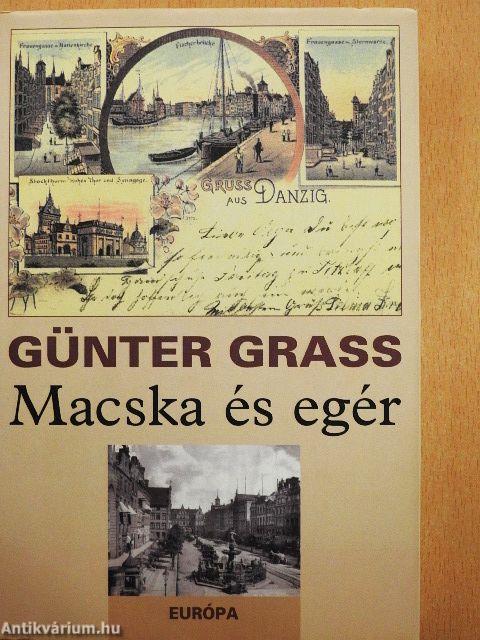 Macska és egér