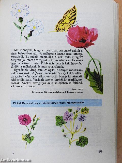 Nézz körül!