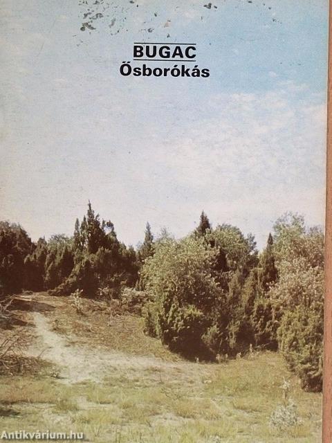 Bugac - Ősborókás