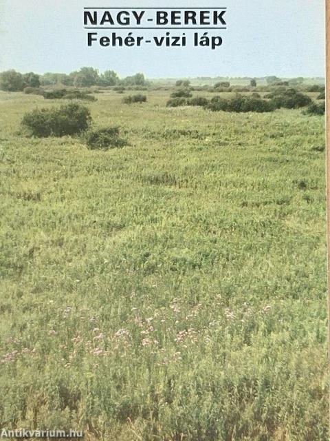 Nagy-Berek - Fehér-vízi láp