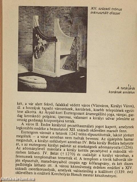 Esztergom - A vár története
