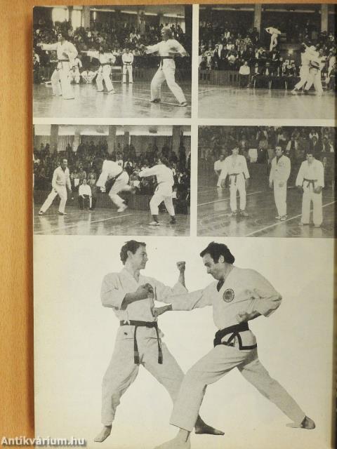 Taekwon-do (dedikált példány)