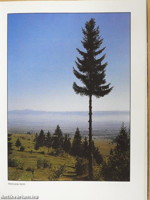 Székelykapuk (dedikált példány)