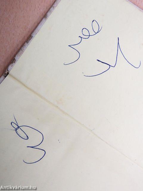 Lúdas Matyi