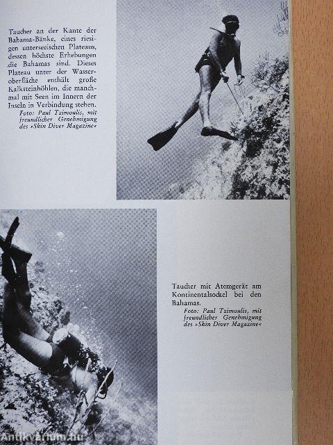 Das Bermuda-Dreieck