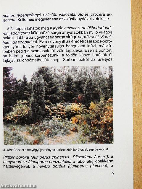 A jeli arborétum