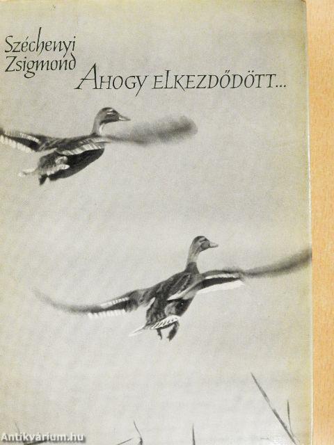 Ahogy elkezdődött...
