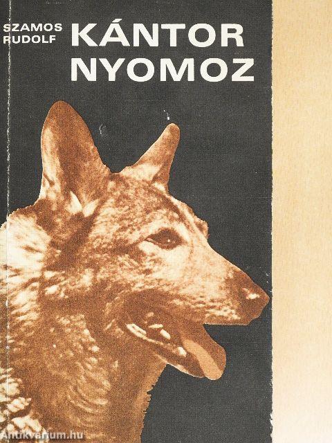 Kántor nyomoz