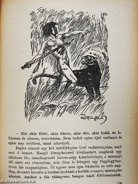 A dzsungel könyve