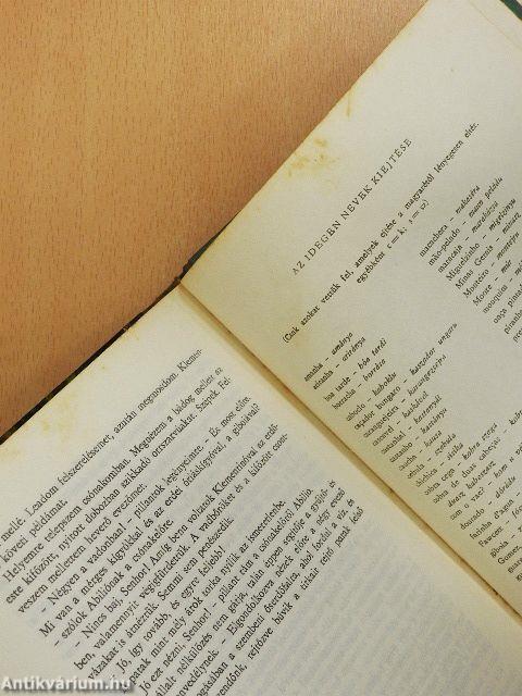 Négyen a vadonban