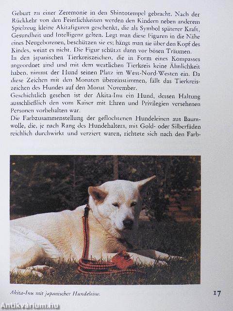 Schlittenhunde