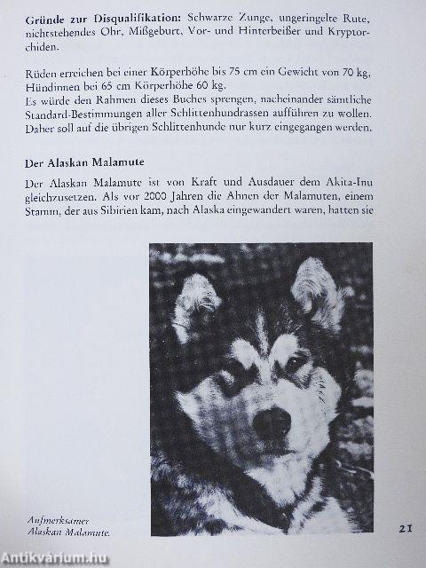 Schlittenhunde