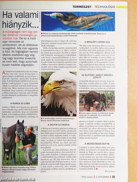 3. Évezred 2019. január
