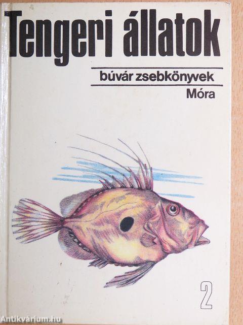 Tengeri állatok 2.