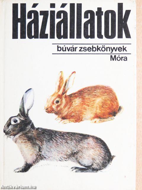 Háziállatok