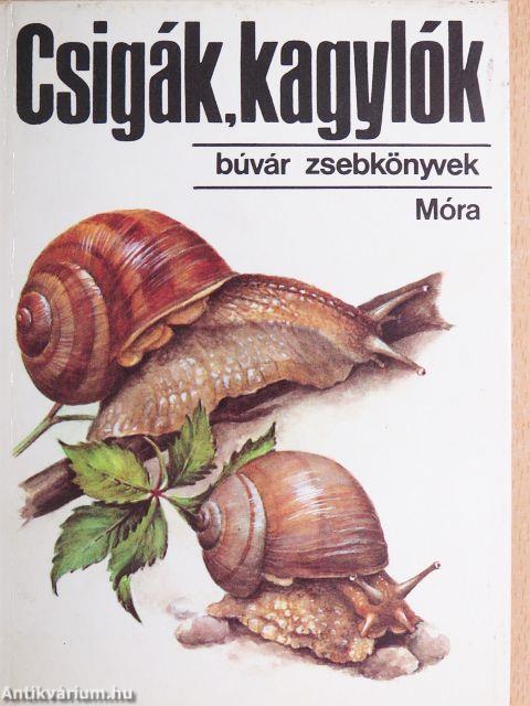 Csigák, kagylók