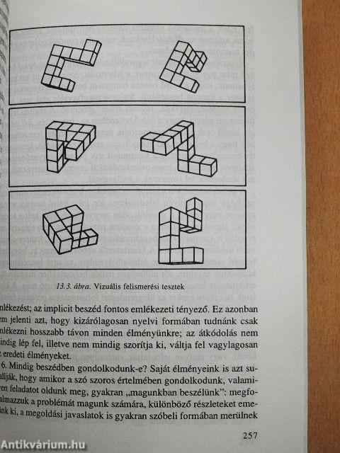 A nyelv és a nyelvek