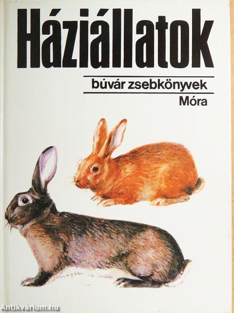 Háziállatok