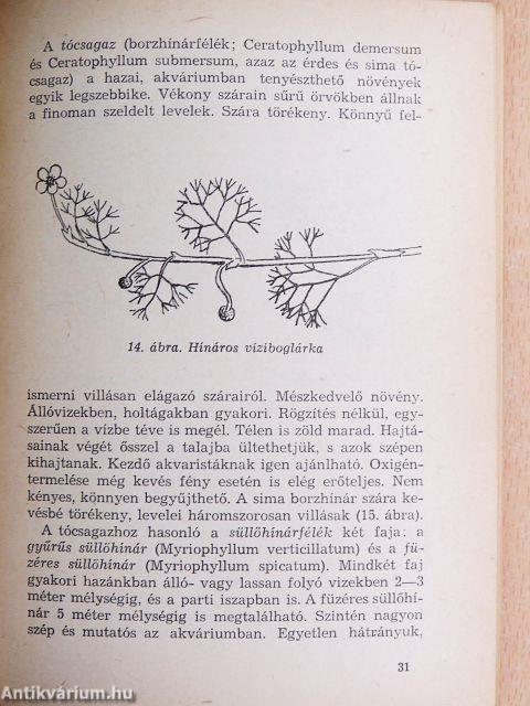 Akvárium, terrárium, szobakert