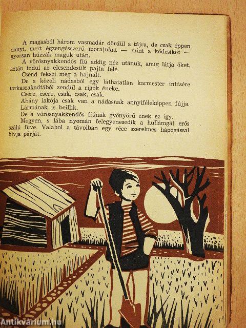 Tiszta öröm
