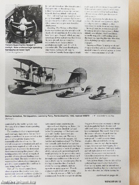 Wingspan July 1991