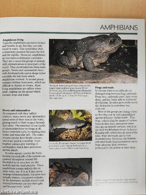 London Zoo Guide