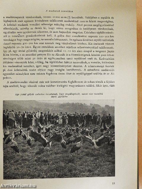 Brehm - Az állatok világa III.