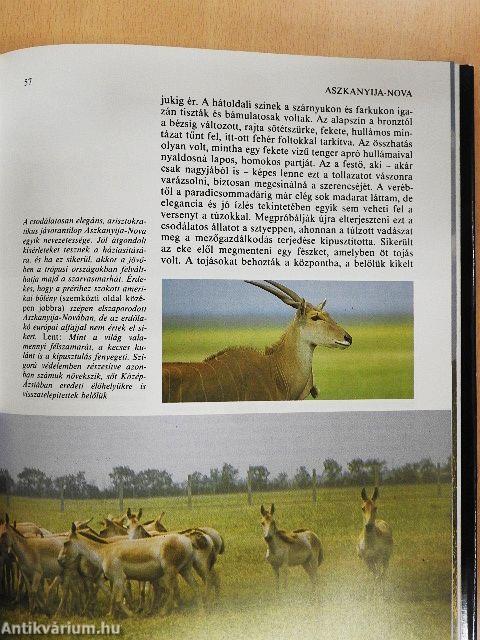 Durrell a Szovjetunióban