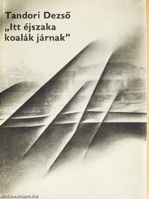 "Itt éjszaka koalák járnak"