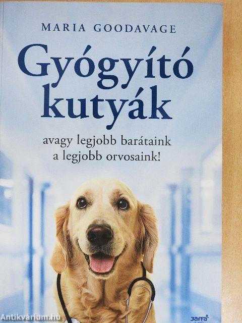 Gyógyító kutyák