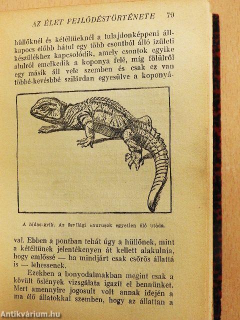 Az élet fejlődéstörténete