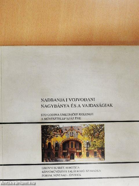 Nagybánya és a vajdaságiak